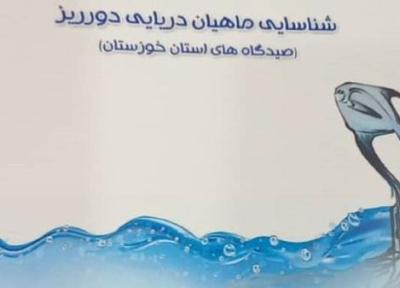 رونمایی از کتاب شناسایی ماهیان دریایی دورریز در صیدگاه های خوزستان
