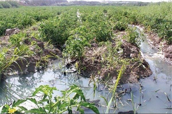 در گفتگو با خبرنگاران مطرح شد؛ آخرین جزئیات از نشت نفت در مزارع شهر ری در مصاحبه با خبرنگاران مطرح شد؛ آخرین جزئیات از نشت نفت در مزارع شهر ری