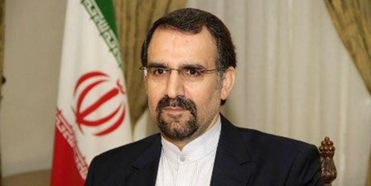 گفت وگوی سنایی با نماینده روسیه درباره دورنمای همکاری های گفت وگوی سنایی با نماینده روسیه درباره دورنمای همکاری های ایران و سازمان شانگهای