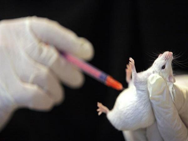 مقابله با ویروس ایدز در موش ها به یاری اگزوزوم