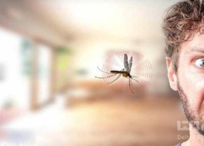 چگونه از نیش حشرات در امان بمانیم؟
