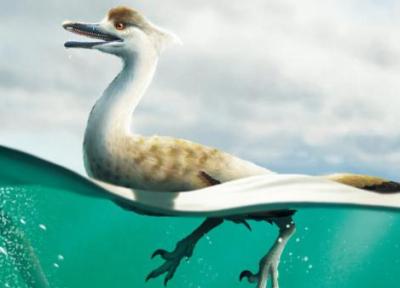 عکس ، دایناسوری که تبدیل به اردک شد!